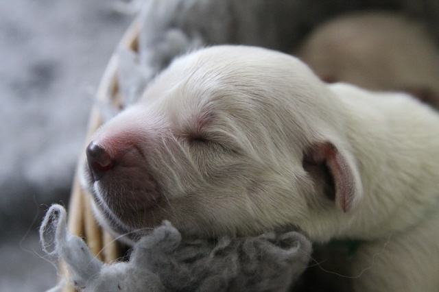 Dit is de laatste foto