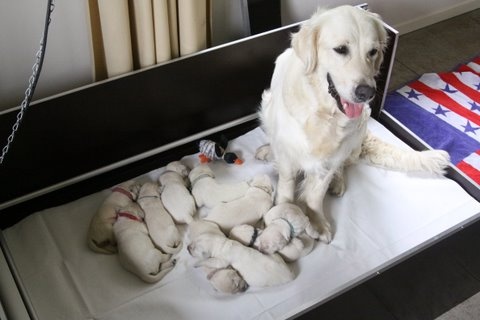 Dit is de laatste foto