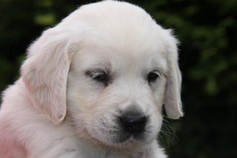 Dit is de laatste foto