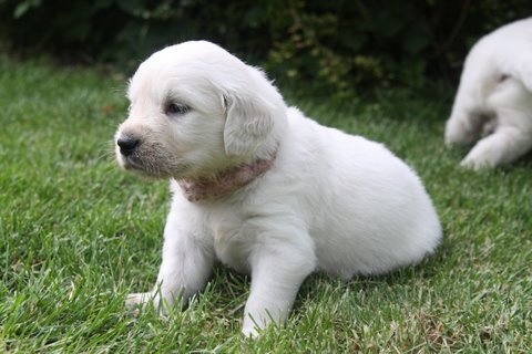 Dit is de laatste foto