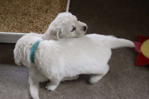 Dit is de laatste foto