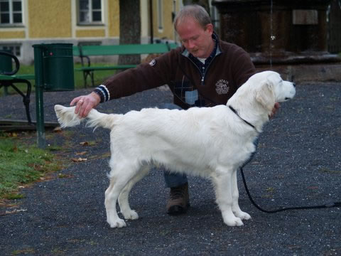 Dit is de laatste foto